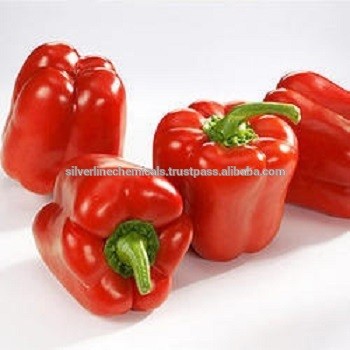 Oleoresin Capsicum W/S (2.5%)