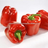 Oleoresin Capsicum ((10% HPLC /5000 CU)